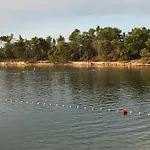 Pinna